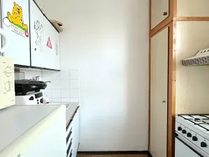 Pronájem bytu 2+1, Brno, Gorkého, 45 m2