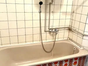 Prodej rodinného domu, Budyně nad Ohří, Slánská, 195 m2