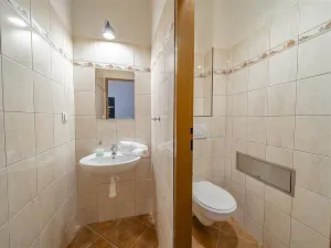 Prodej ostatní, Schrattenberg, Rakousko