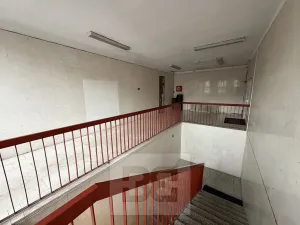 Prodej obchodního prostoru, Chomutov, Zahradní, 14070 m2