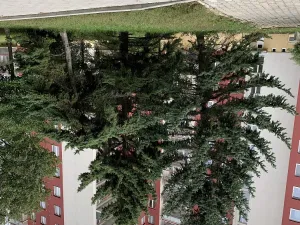 Pronájem obchodního prostoru, Brno - Židenice, Čejkovická, 16 m2