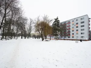 Prodej bytu 1+1, Brno, Svatopluka Čecha, 38 m2