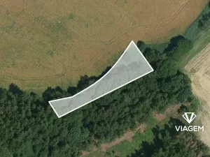 Prodej pole, Borek, 1565 m2