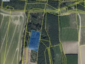 Prodej lesa, Veliny, 4517 m2