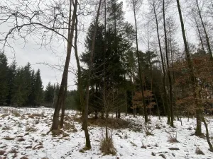 Prodej pozemku, Veliny, 1630 m2