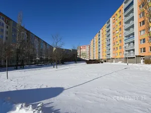 Pronájem bytu 2+kk, Most, Františka Malíka, 40 m2