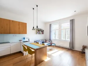 Prodej bytu 2+kk, Praha - Nové Město, Trojická, 62 m2