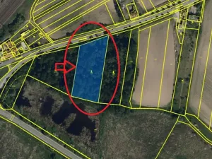 Prodej lesa, Moravský Písek, 4838 m2