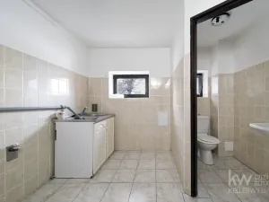 Pronájem rodinného domu, Plzeň, K Řečici, 240 m2