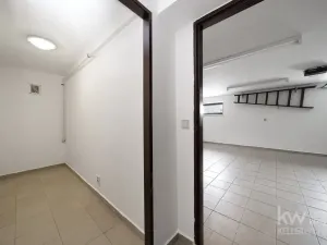 Pronájem rodinného domu, Plzeň, K Řečici, 240 m2