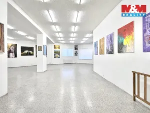 Pronájem obchodního prostoru, Louny, Říční, 216 m2