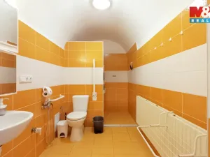 Prodej rodinného domu, Staré Město pod Landštejnem, 200 m2