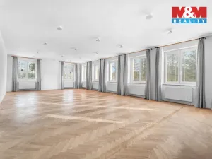 Prodej ubytování, Borušov - Svojanov, 1890 m2