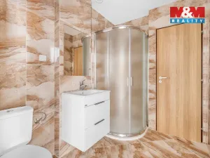 Prodej ubytování, Borušov - Svojanov, 1890 m2