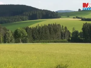 Prodej ubytování, Borušov - Svojanov, 1890 m2