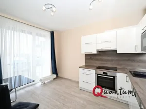 Pronájem bytu 1+kk, Praha - Žižkov, Olgy Havlové, 38 m2