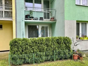 Pronájem bytu 3+1, Borovany, Budějovická, 73 m2