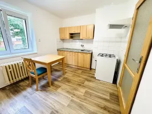 Pronájem bytu 1+1, České Budějovice, Generála Svobody, 60 m2