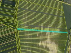 Prodej pole, Svatobořice-Mistřín, 8725 m2