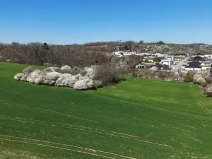 Prodej pozemku pro bydlení, Hajany, 500 m2