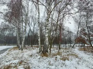 Prodej lesa, Pardubice, 1407 m2