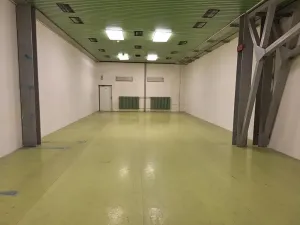 Pronájem skladu, Brno, Jana Babáka, 107 m2