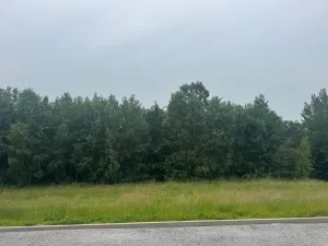 Dražba pozemku pro bydlení, Slavče, 1251 m2