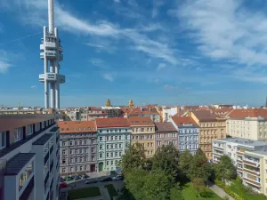 Prodej bytu 1+kk, Praha - Žižkov, Bořivojova, 21 m2