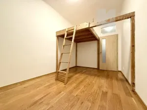 Pronájem bytu 2+kk, Brno, Tábor, 51 m2