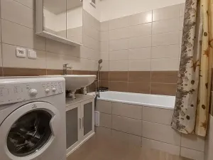 Pronájem bytu 1+1, Brno, Okrouhlá, 45 m2