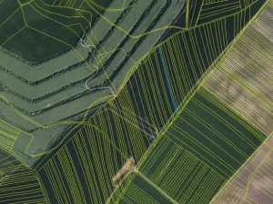 Prodej pole, Dambořice, 12804 m2