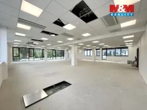 Pronájem obchodního prostoru, Brno - Lesná, Okružní, 275 m2