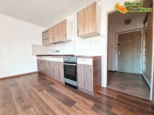 Pronájem bytu 2+1, Ostrava, Utvenkova, 54 m2