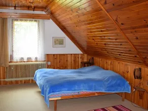 Prodej rodinného domu, Čestice, 320 m2