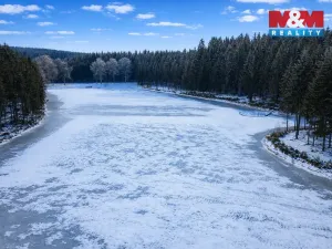 Prodej rybníku, Nová Bystřice - Klenová, 45469 m2