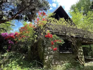 Prodej chaty, Běstvina, 70 m2