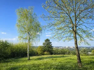 Prodej pozemku, Praha, 475 m2