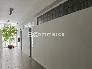 Pronájem kanceláře, Brno, 70 m2