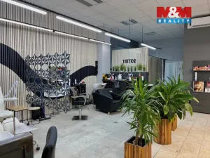 Pronájem obchodního prostoru, Most, Jaroslava Průchy, 100 m2