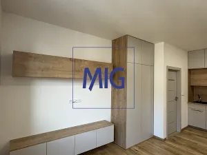 Pronájem bytu 2+kk, Brno, Úvoz, 44 m2