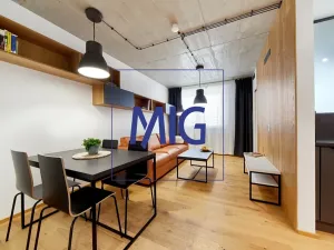 Pronájem bytu 2+kk, Brno, Cejl, 35 m2