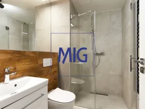 Pronájem bytu 2+kk, Brno, Cejl, 35 m2