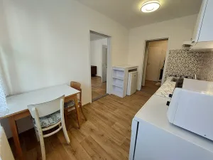 Pronájem bytu 1+1, Brno - Bohunice, Okrouhlá, 45 m2