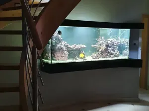 Prodej rodinného domu, Česká Třebová, Grégrova, 350 m2