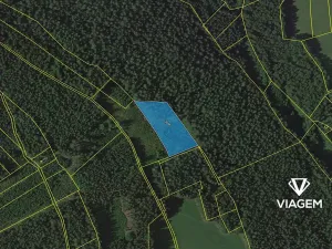 Prodej lesa, Loužnice, 6242 m2