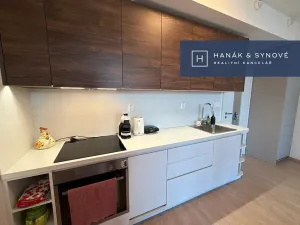 Pronájem bytu 1+kk, Brno, Provazníkova, 48 m2