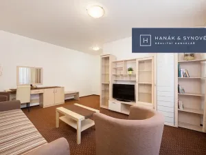 Pronájem bytu 2+1, Brno, Anenská, 50 m2