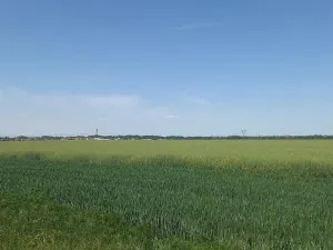 Prodej pole, Čestlice, Říčanská, 3118 m2