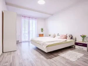 Prodej bytu 2+kk, Nová Role, Svobodova, 80 m2