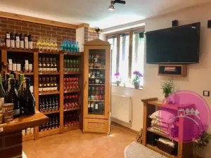 Pronájem obchodního prostoru, Olomouc, Karolíny Světlé, 55 m2